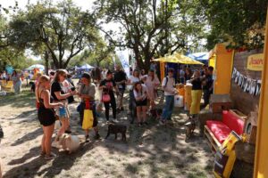 У Києві відбувся наймасштабніший фестиваль для власників собак ПЕСИКИ ФЕСТ 2.0