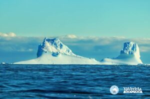 Благодійна колекція від «Яверета» «Канікули в Антарктиді» - у підтримку полярників, які воюють