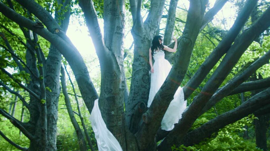 «Оберіг» - прем’єра треку від співачки Вікі Роуз для особливих подій