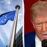 Два гіганти ЄС виступили проти торговельної угоди з США