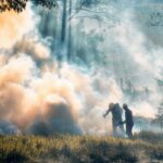 Дим від лісових пожеж набагато небезпечніший для здоров’я, ніж вважалося раніше, — вчені