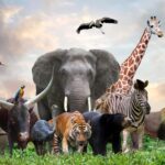 Скільки видів тварин існує у світі: цифри вас вразять