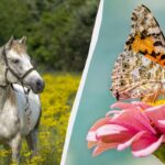 Українські та міжнародні свята 9 червня: чому варто привітати друзів