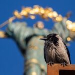 У вівторок у Києві буде до +27°