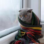 5 лайфхаків, які допоможуть заощадити на опаленні взимку: вони дуже прості