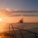 Туреччина зробила жорстке попередження Україні та РФ про атаки у Чорному морі
